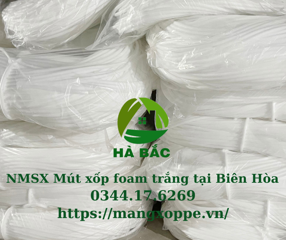 mut-xop-foam-trang-tai-bien-hoa mut-xop-foam-trang-tai-bien-hoa