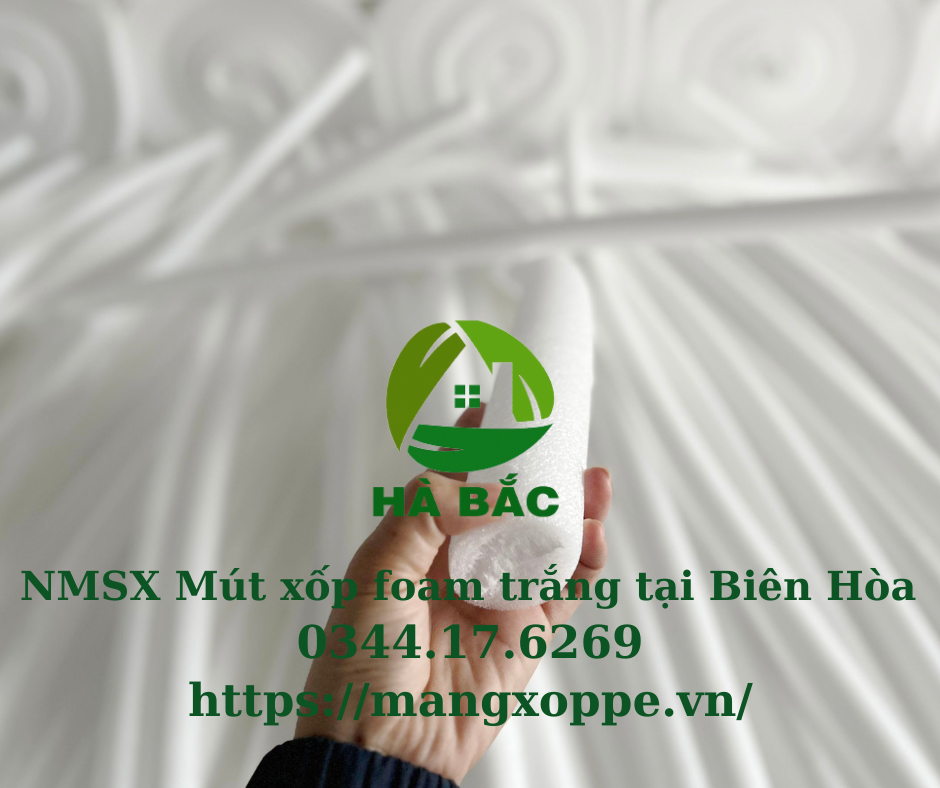 mut-xop-foam-trang-tai-bien-hoa mut-xop-foam-trang-tai-bien-hoa