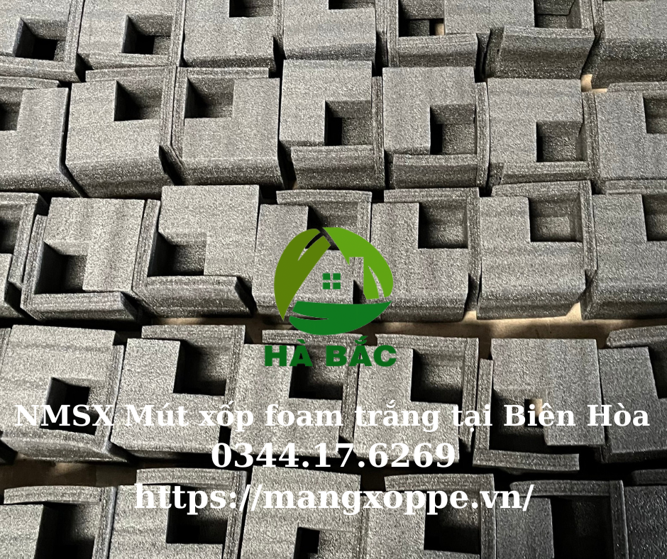 mut-xop-foam-trang-tai-bien-hoa mut-xop-foam-trang-tai-bien-hoa