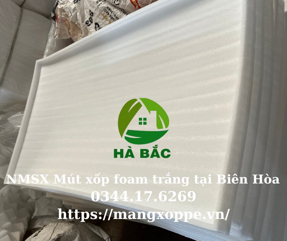 mut-xop-foam-trang-tai-bien-hoa mut-xop-foam-trang-tai-bien-hoa