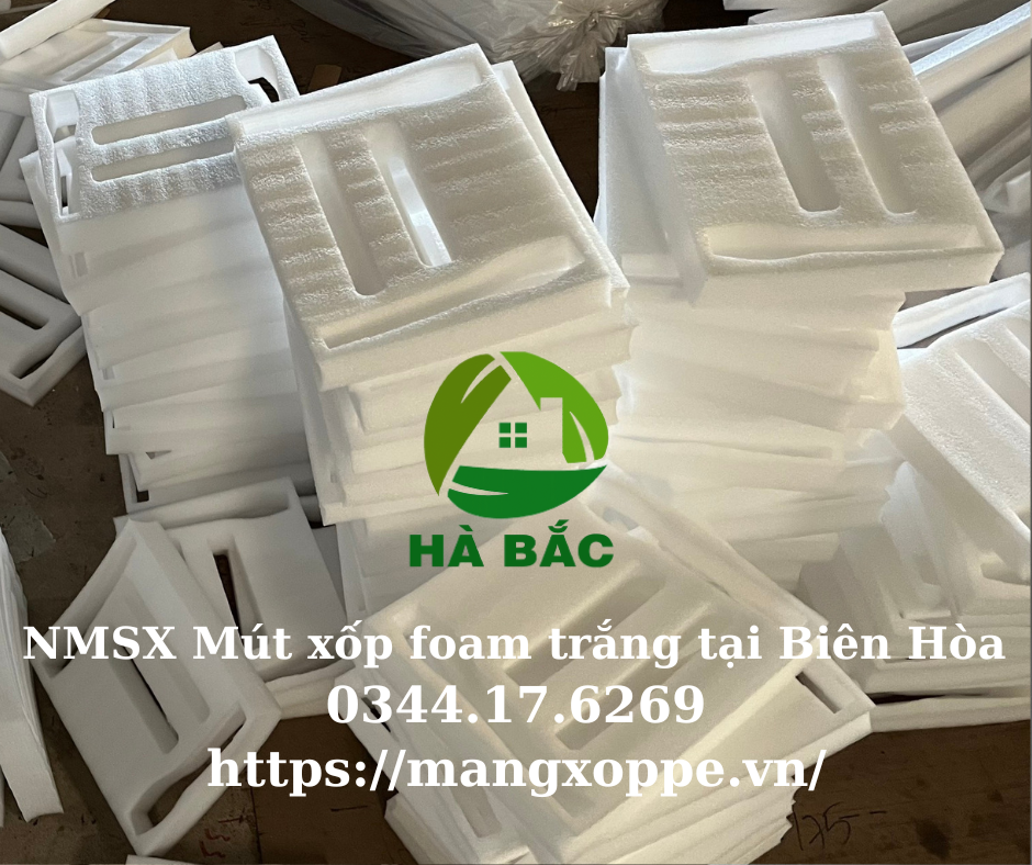 mut-xop-foam-trang-tai-bien-hoa mut-xop-foam-trang-tai-bien-hoa