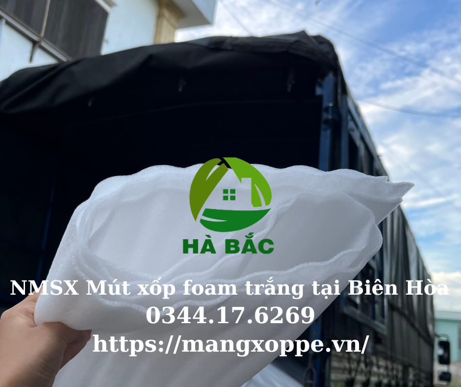 mut-xop-foam-trang-tai-bien-hoa mut-xop-foam-trang-tai-bien-hoa