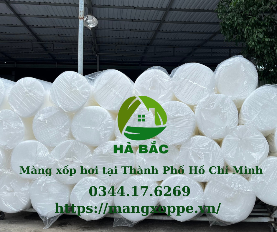 mang-xop-hoi-tai-thanh-pho-ho-chi-minh mang-xop-hoi-tai-thanh-pho-ho-chi-minh