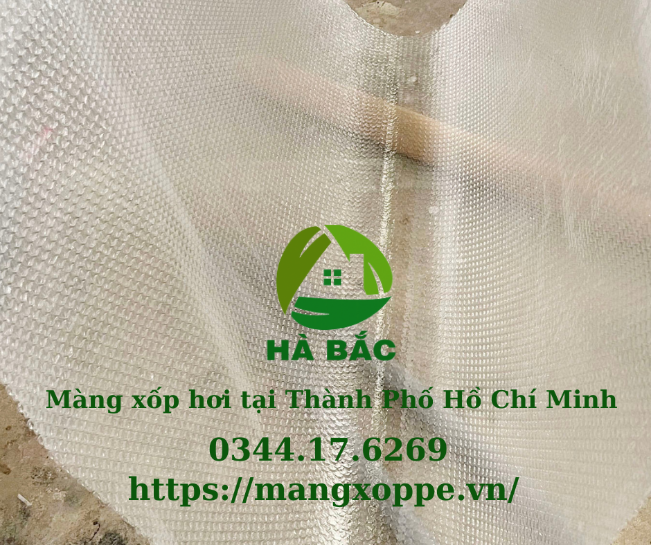 mang-xop-hoi-tai-thanh-pho-ho-chi-minh mang-xop-hoi-tai-thanh-pho-ho-chi-minh