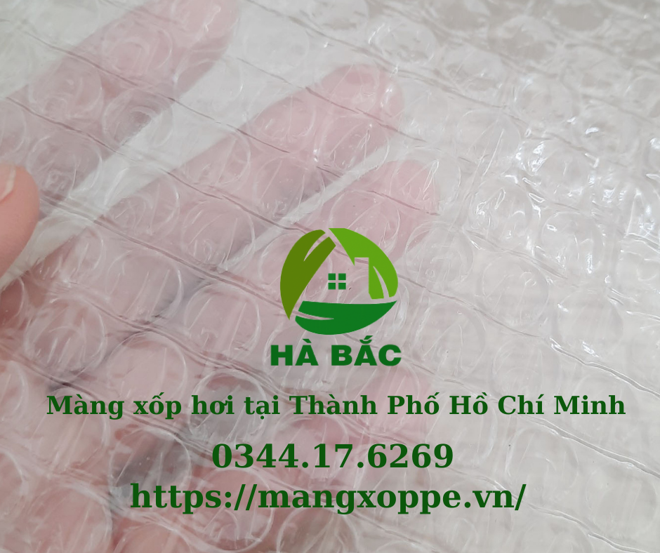 mang-xop-hoi-tai-thanh-pho-ho-chi-minh mang-xop-hoi-tai-thanh-pho-ho-chi-minh
