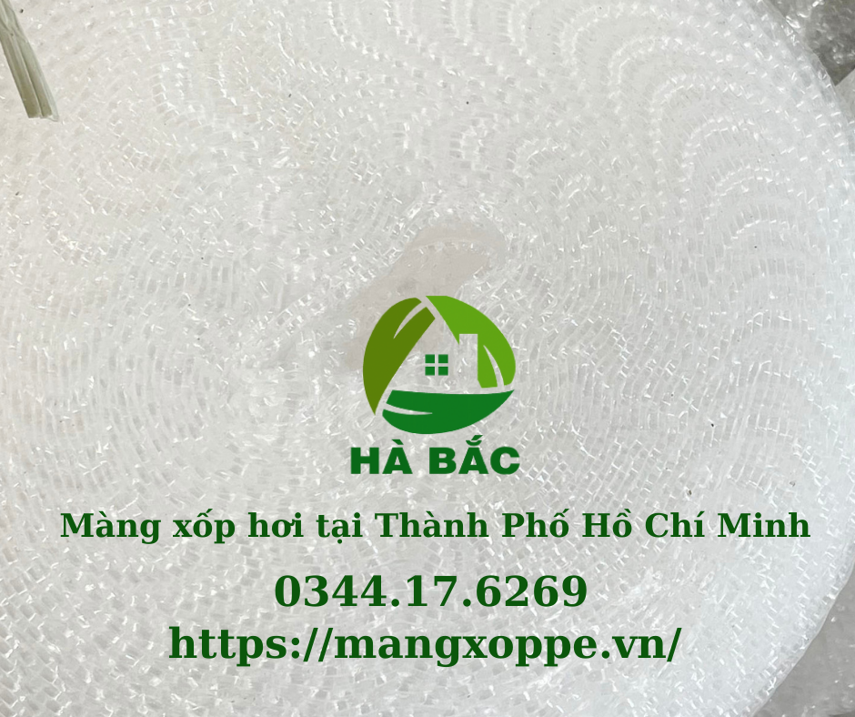 mang-xop-hoi-tai-thanh-pho-ho-chi-minh mang-xop-hoi-tai-thanh-pho-ho-chi-minh