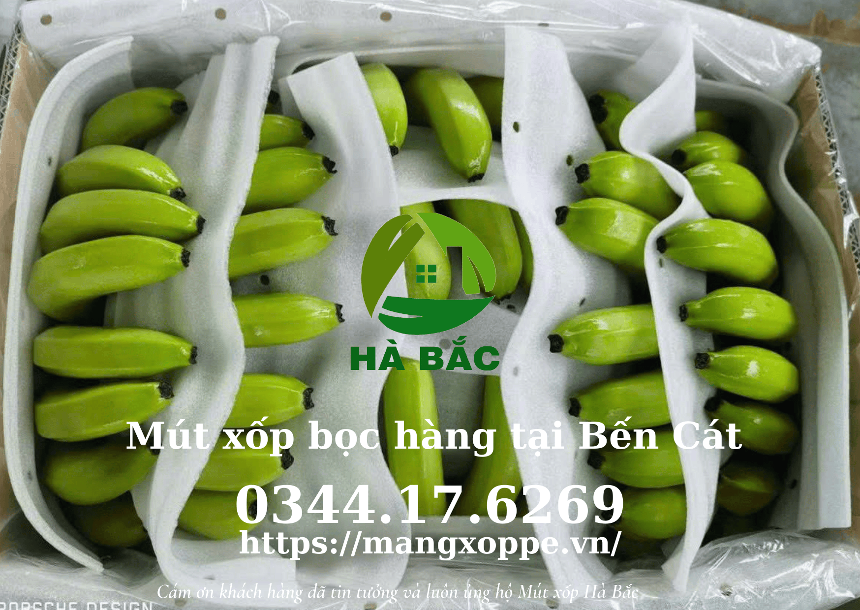 mut-xop-boc-hang-tai-ben-cat mut-xop-boc-hang-tai-ben-cat