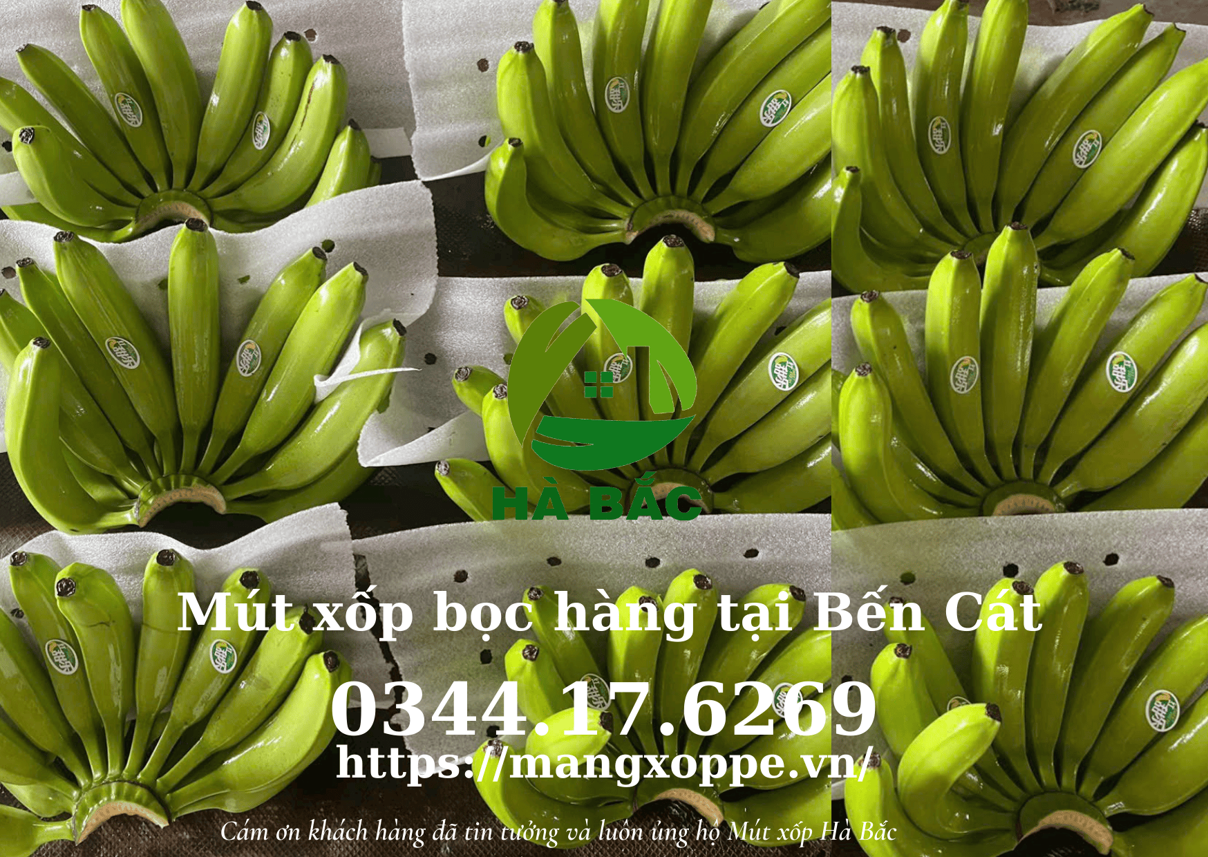 mut-xop-boc-hang-tai-ben-cat mut-xop-boc-hang-tai-ben-cat