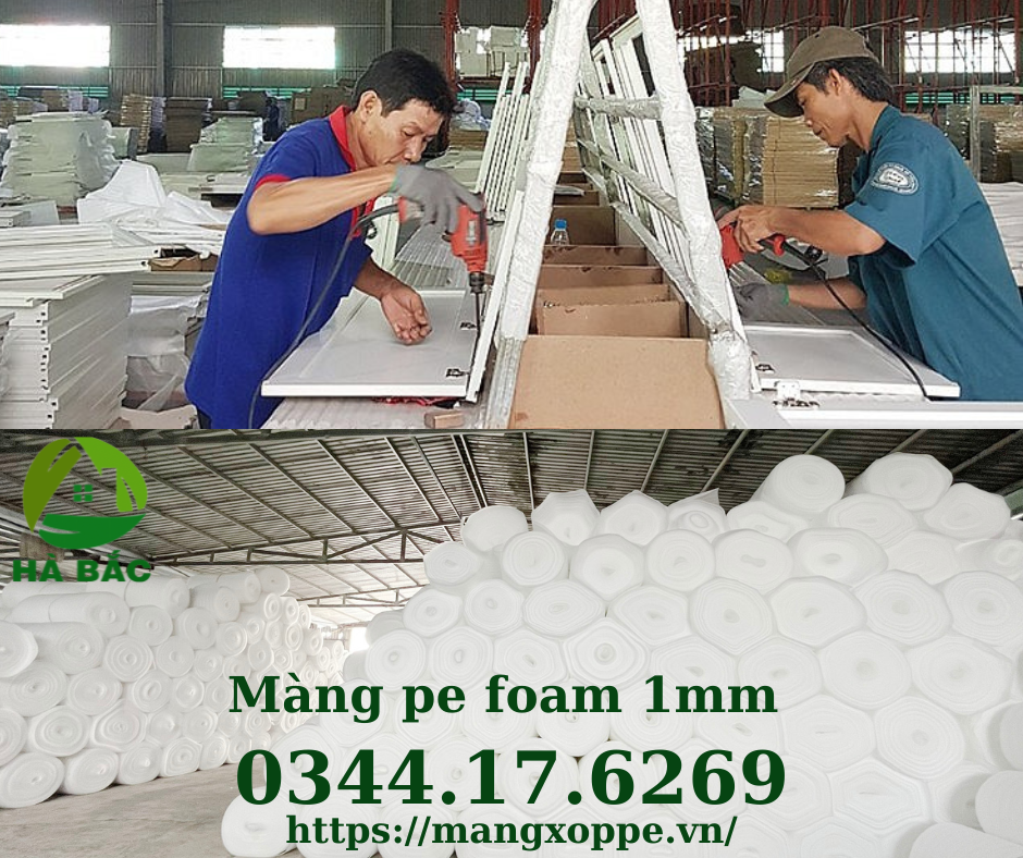 mang-xop-foam-1mm-tai-binh-duong mang-xop-foam-1mm-tai-binh-duong