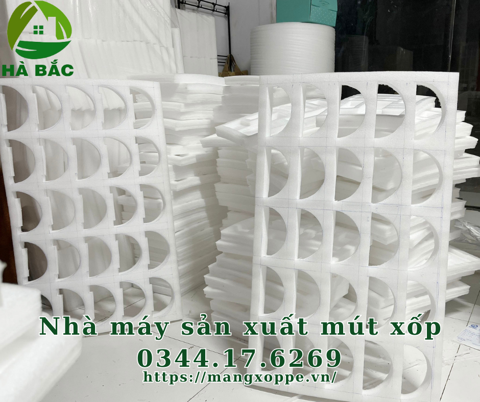 nha-may-san-xuat-mut-xop nha-may-san-xuat-mut-xop