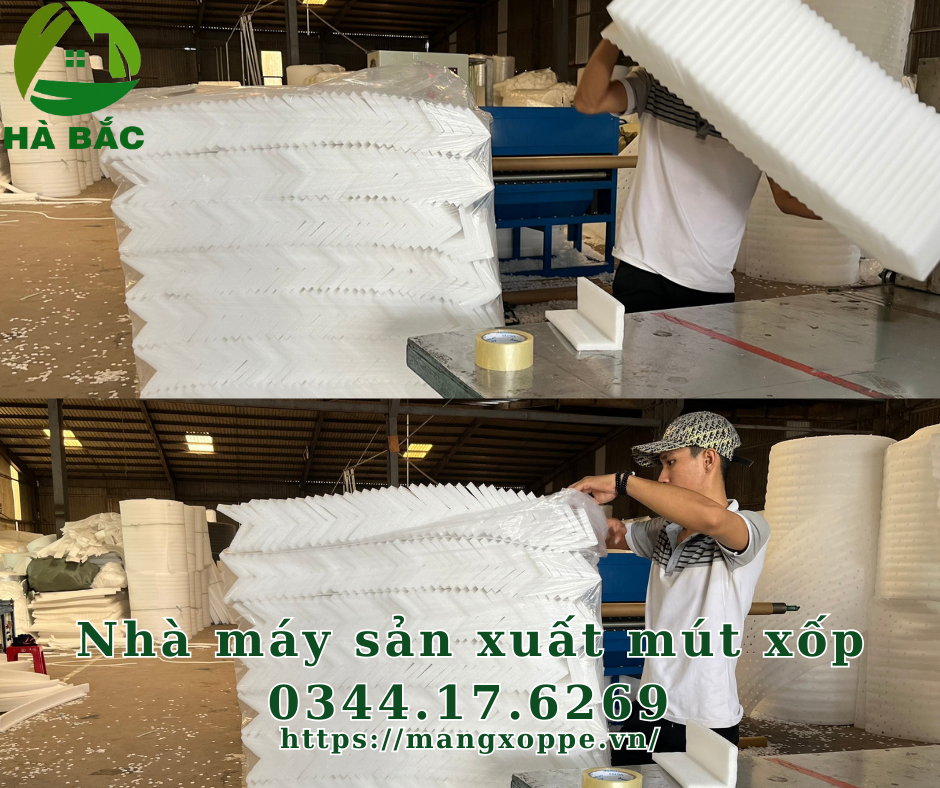 nha-may-san-xuat-mut-xop nha-may-san-xuat-mut-xop