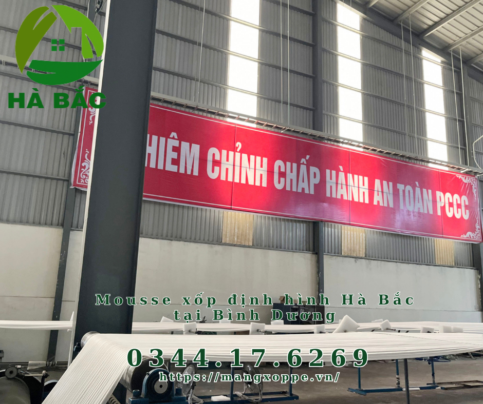 mousse-xop-dinh-hinh-ha-bac-tai-binh-duong mousse-xop-dinh-hinh-ha-bac-tai-binh-duong