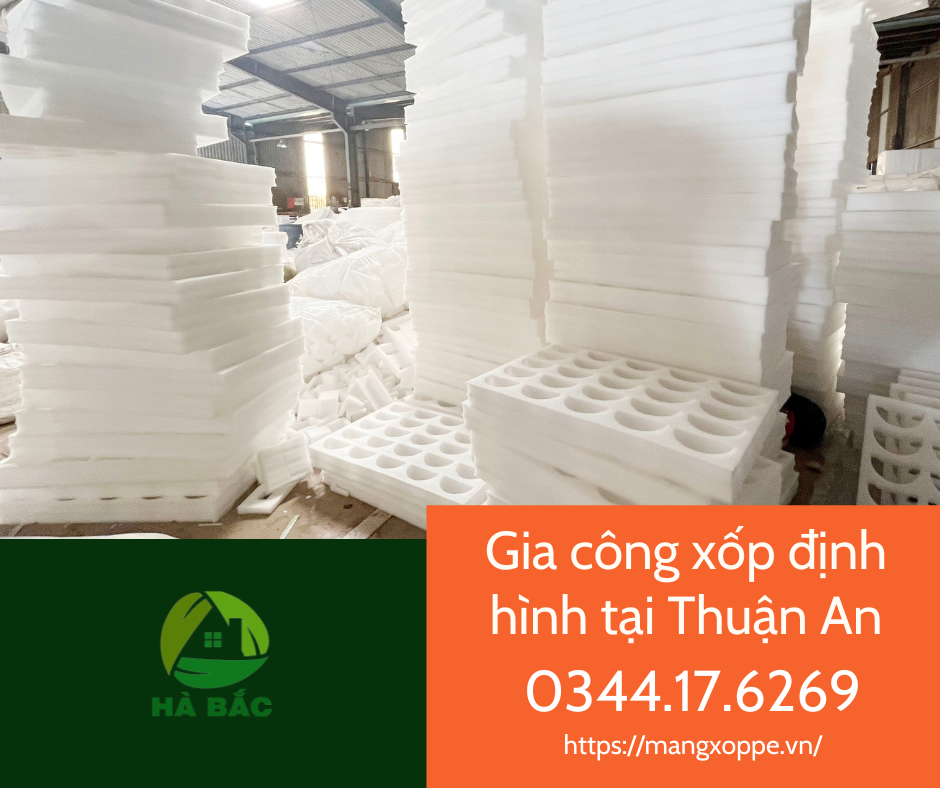 gia-cong-xop-dinh-hinh-tai-thuan-an gia-cong-xop-dinh-hinh-tai-thuan-an
