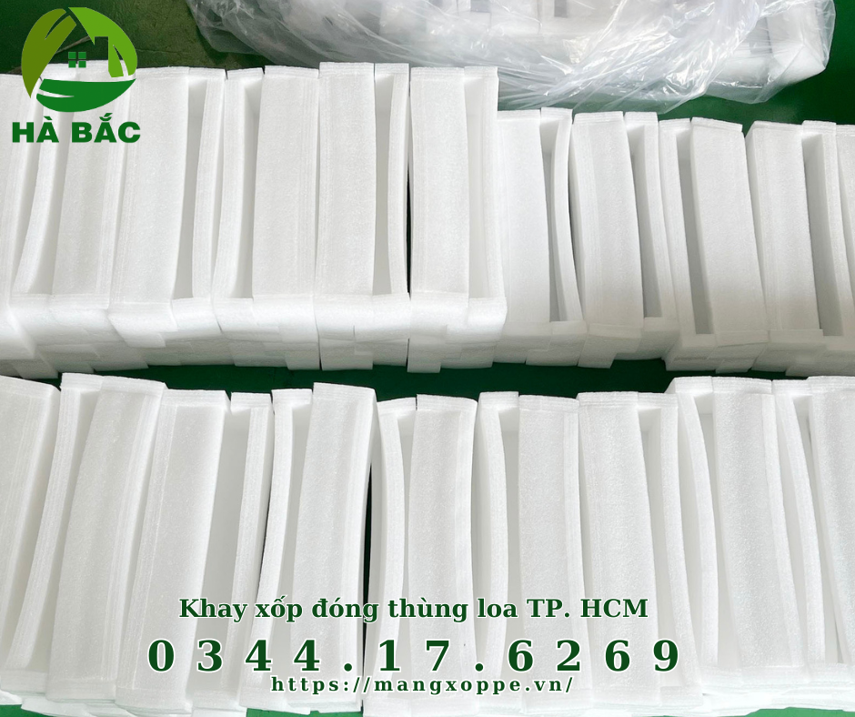 khay-xop-dong-thung-loa-tai-tp-hcm khay-xop-dong-thung-loa-tai-tp-hcm