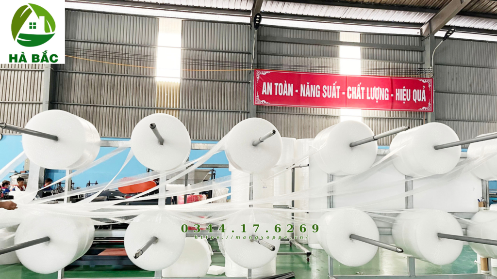 cat-xop-bong-khi-tai-nhon-trach-2