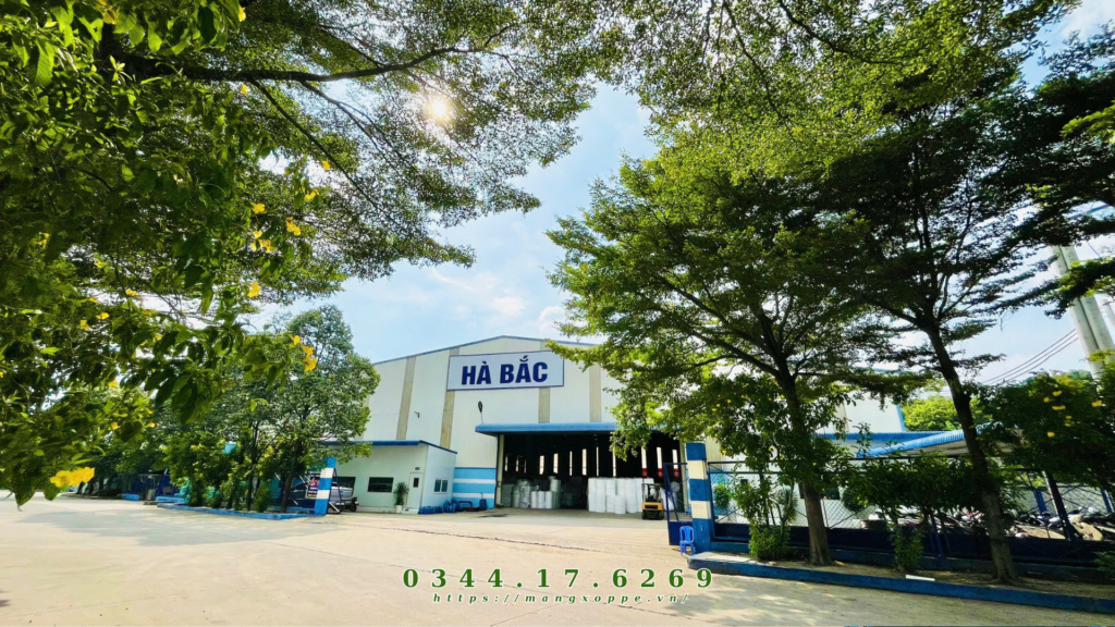 cat-xop-bong-khi-tai-nhon-trach-2