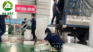 xop-dinh-hinh-co-lot-nhung-tai-binh-duong xop-dinh-hinh-co-lot-nhung-tai-binh-duong