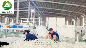 xop-dinh-hinh-co-lot-nhung-tai-binh-duong xop-dinh-hinh-co-lot-nhung-tai-binh-duong