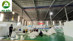 xop-dinh-hinh-co-lot-nhung-tai-binh-duong xop-dinh-hinh-co-lot-nhung-tai-binh-duong