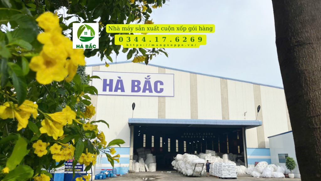 cuon-xop-goi-hang-tai-binh-duong cuon-xop-goi-hang-tai-binh-duong