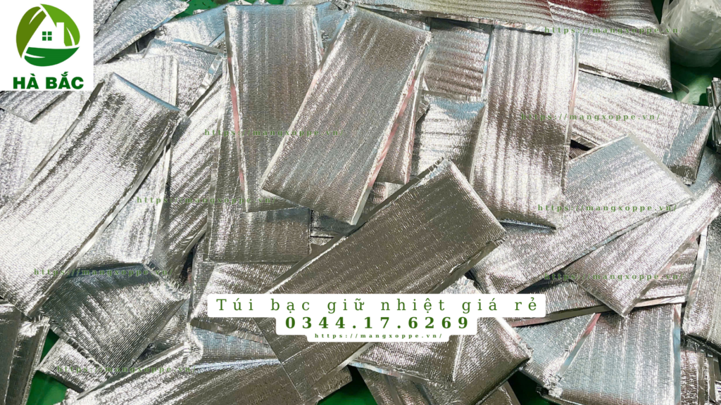 tui-bac-giu-nhiet-gia-re-tai-binh-duong