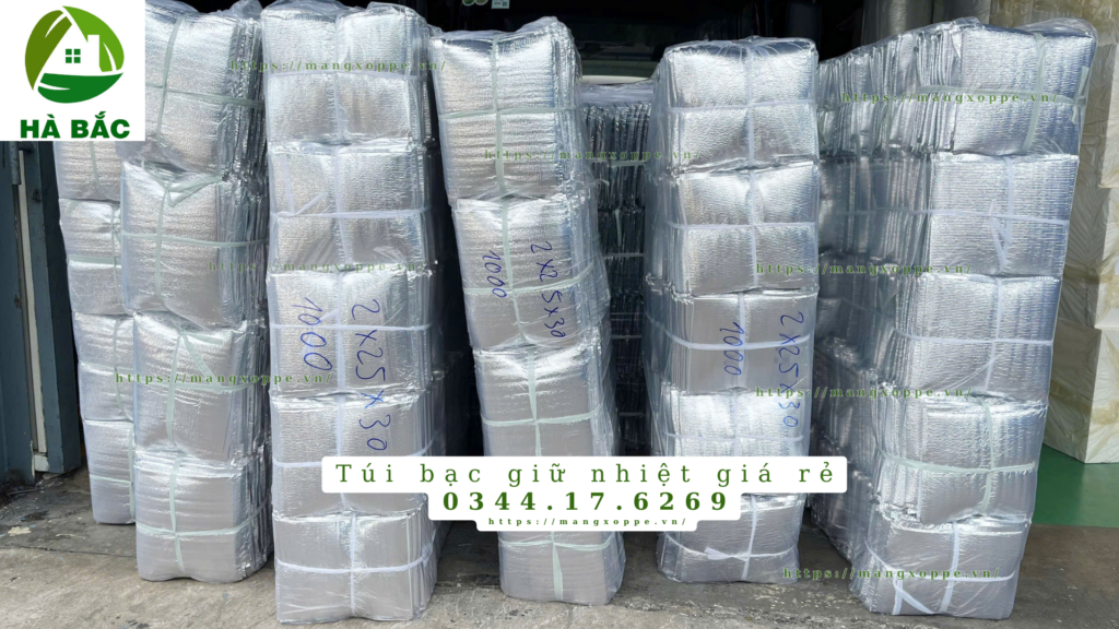 tui-bac-giu-nhiet-gia-re-tai-binh-duong