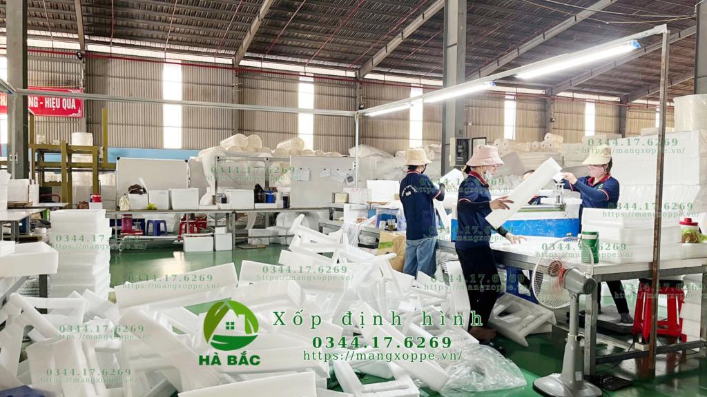 xop-dinh-hinh-dong-hang-dien-tu-tai-hoc-mon