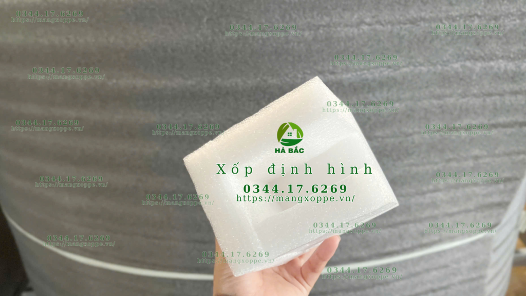 xop-dinh-hinh-dong-hang-dien-tu-tai-hoc-mon