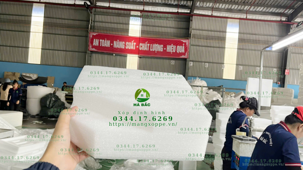 xop-dinh-hinh-dong-hang-dien-tu-tai-hoc-mon
