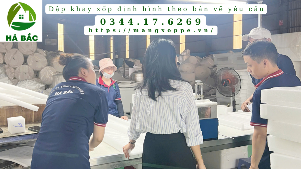 dap-khay-xop-dinh-hinh-theo-ban-ve-tai-kcn-song-than