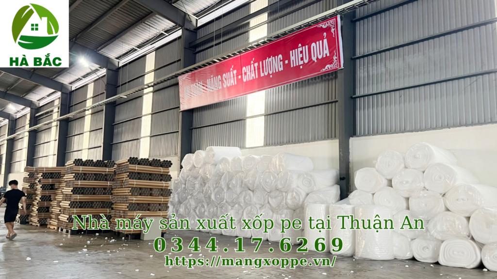xop-pe-tai-thuan-an