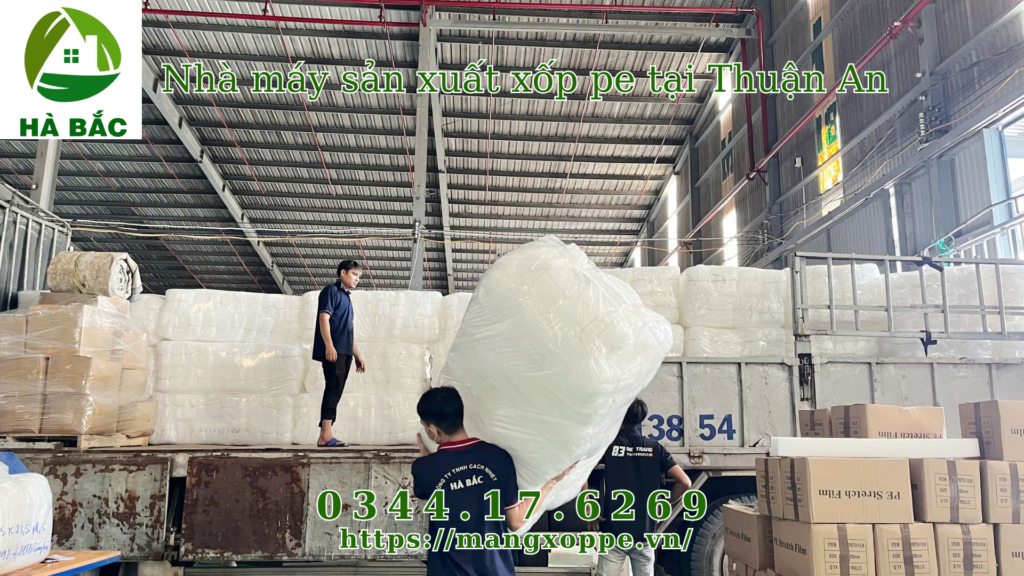 xop-pe-tai-thuan-an