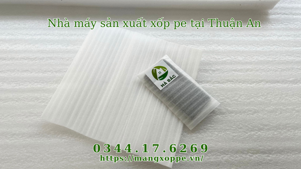 xop-pe-tai-thuan-an