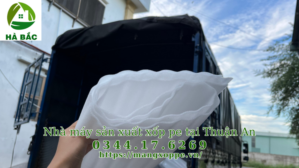 xop-pe-tai-thuan-an