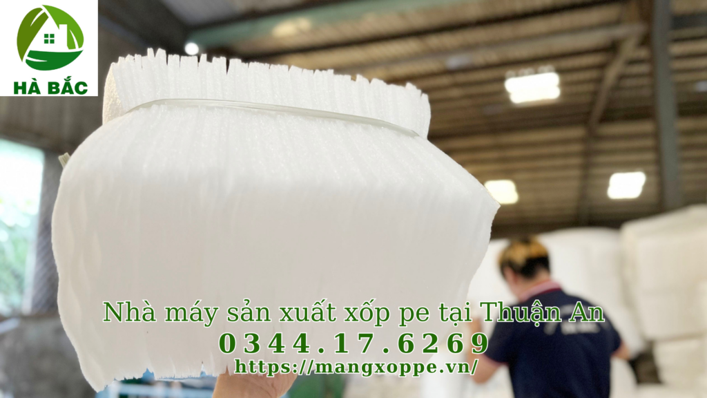 xop-pe-tai-thuan-an