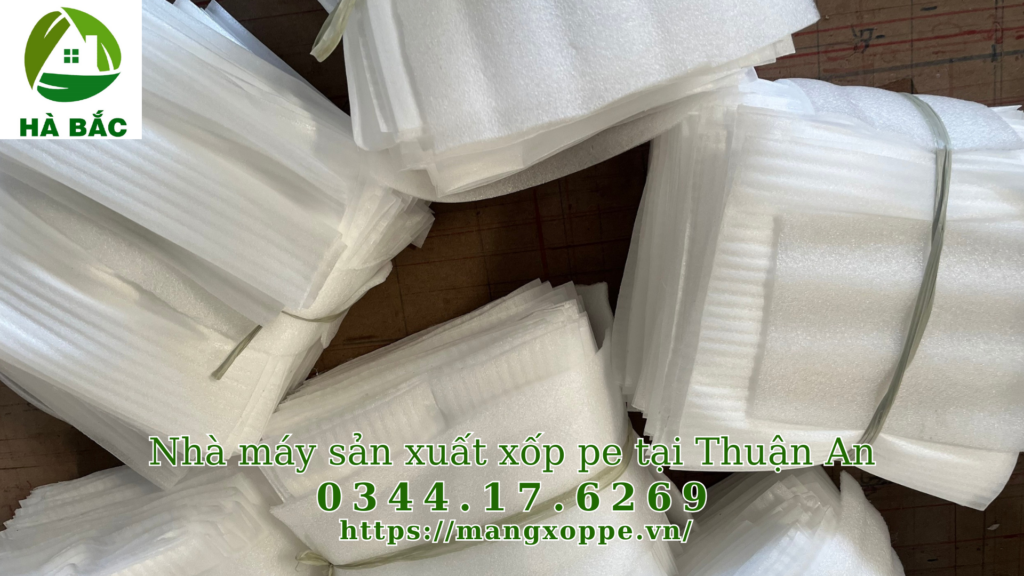 xop-pe-tai-thuan-an