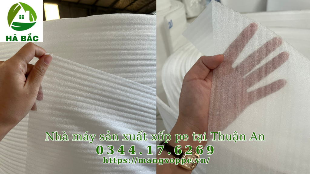xop-pe-tai-thuan-an