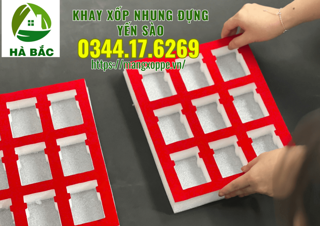 khay-xop-nhung-dung-yen-sao-tai-tphcm