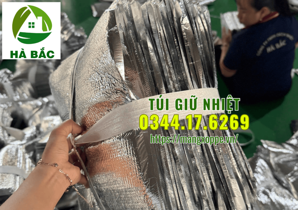 tui-giu-nhiet-dung-cha-ca-tai-nha-trang tui-giu-nhiet-dung-cha-ca-tai-nha-trang