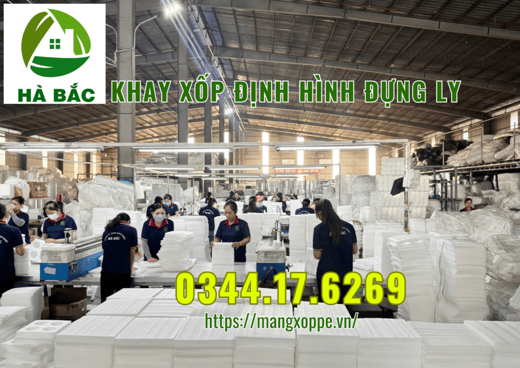 khay-xop-dinh-hinh-dung-ly-tai-tan-uyen