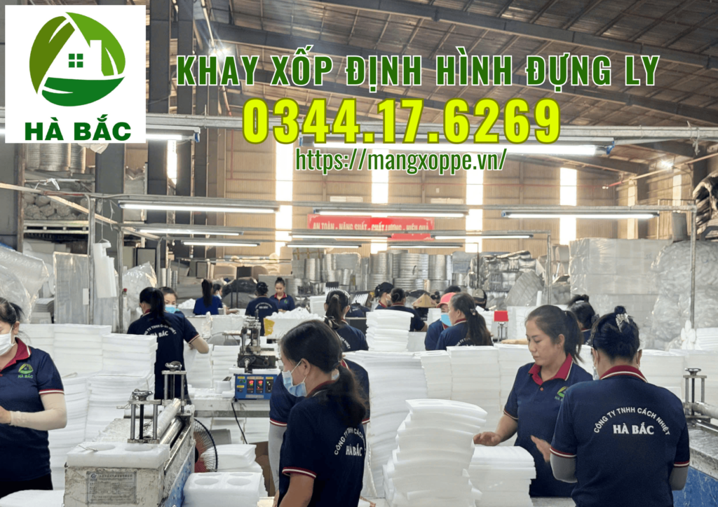 khay-xop-dinh-hinh-dung-ly-tai-tan-uyen