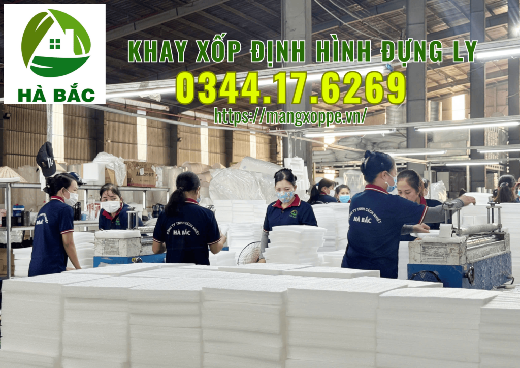 khay-xop-dinh-hinh-dung-ly-tai-tan-uyen