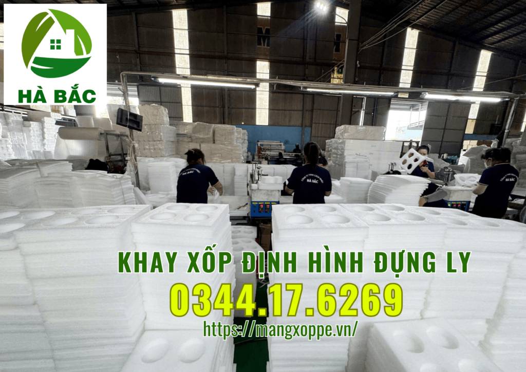 khay-xop-dinh-hinh-dung-ly-tai-tan-uyen