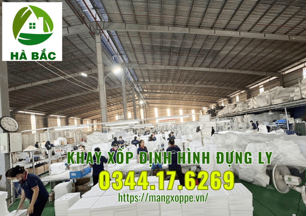 khay-xop-dinh-hinh-dung-ly-tai-tan-uyen