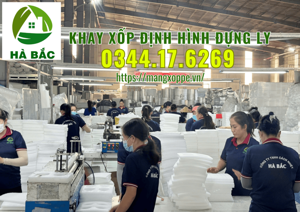 khay-xop-dinh-hinh-dung-ly-tai-tan-uyen