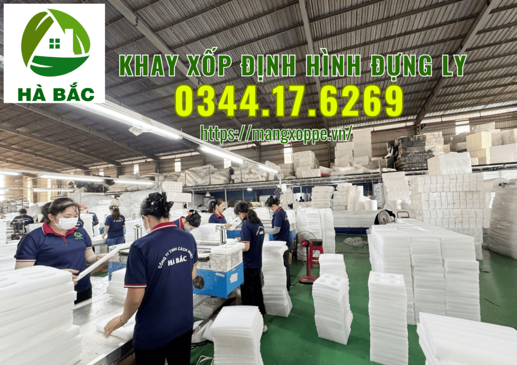 khay-xop-dinh-hinh-dung-ly-tai-tan-uyen