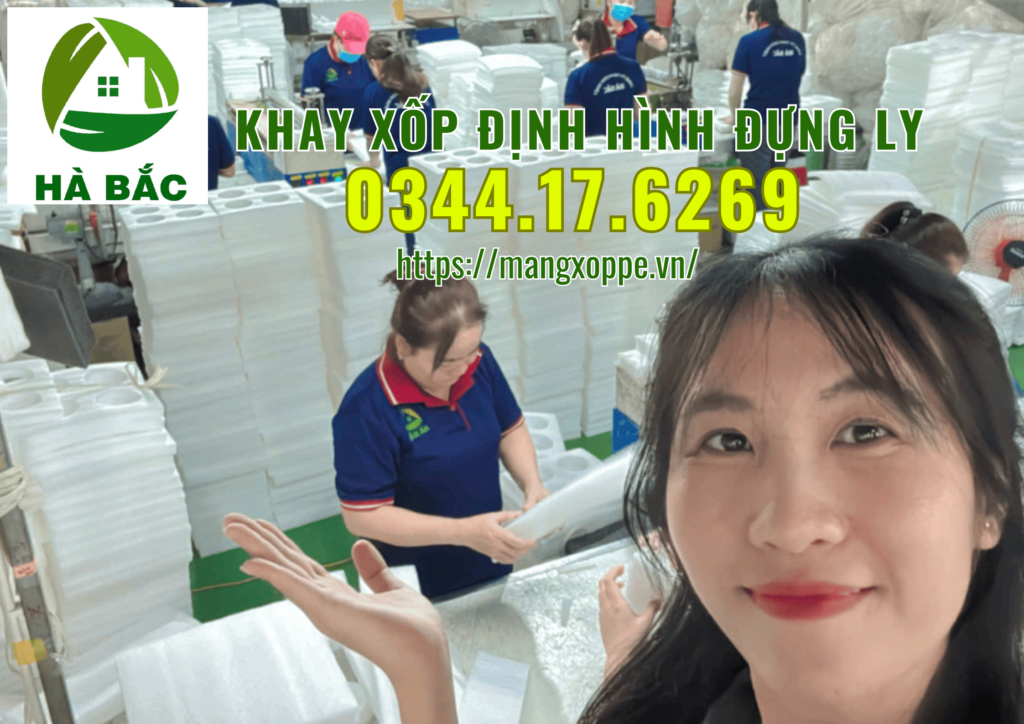 khay-xop-dinh-hinh-dung-ly-tai-tan-uyen