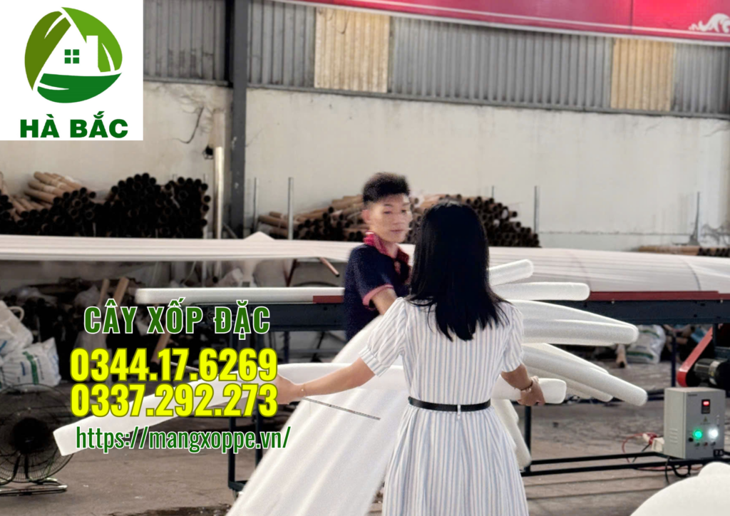cay-xop-dac-4cm-tai-ha-noi