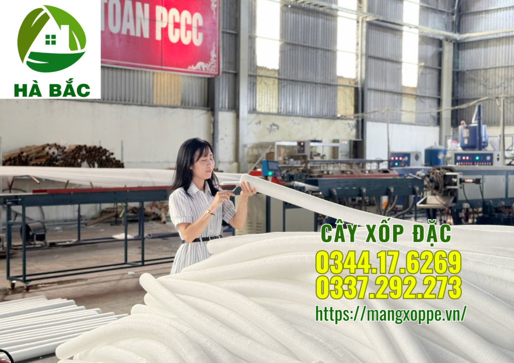cay-xop-dac-4cm-tai-ha-noi