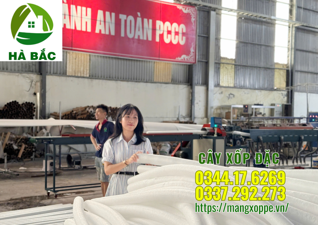 cay-xop-dac-4cm-tai-ha-noi